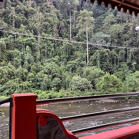 Ridho'S Homestay & Jungle Trekking Букит-Лаванг Экстерьер фото