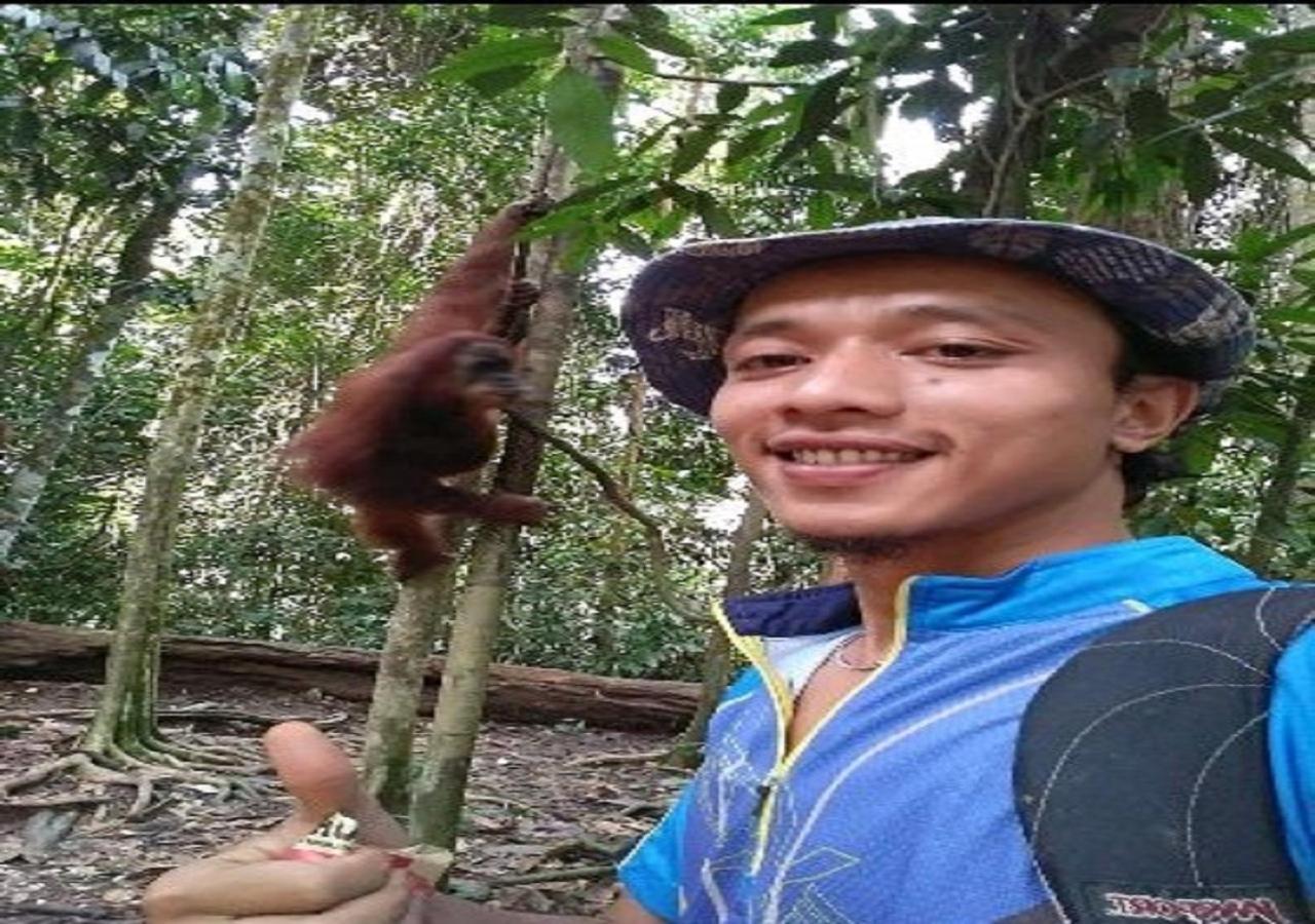 Ridho'S Homestay & Jungle Trekking Букит-Лаванг Экстерьер фото