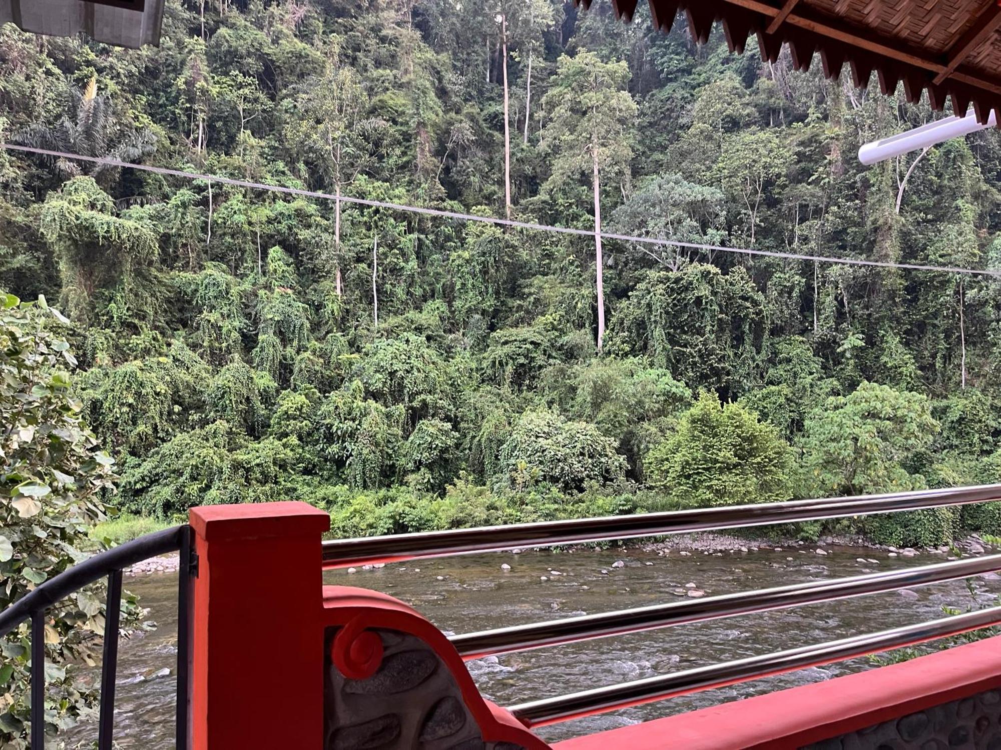 Ridho'S Homestay & Jungle Trekking Букит-Лаванг Экстерьер фото